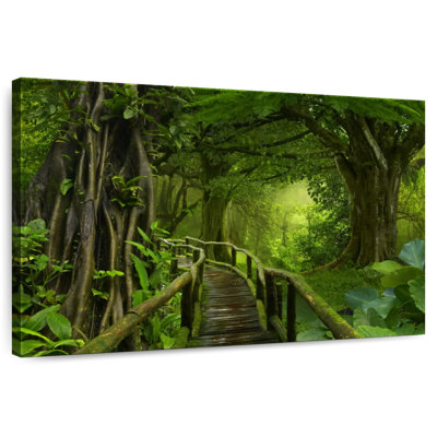 Alvord Thailand Jungle