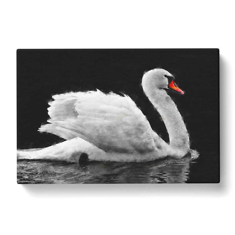 White Swan Swimming - Wrapped Canvas Print, 50cm H x 76cm W x 3cm D