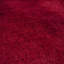 Tapis rouge Felicisimo-1411762090