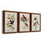 Pl 354 Louisiana Tanager - Ensemble de 3 peintures sur toile encadrées-384900184-384900185
