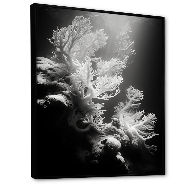 Anémone noire et blanche IV sur toile, H 32 po x l 24 po x P 1 po, Cadre flottant noir