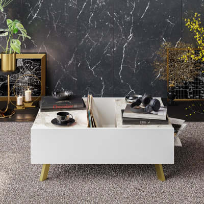 Palmyra Coffee Table with Storage
