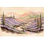 Papier peint amovible paysage vert-982537324-982537327