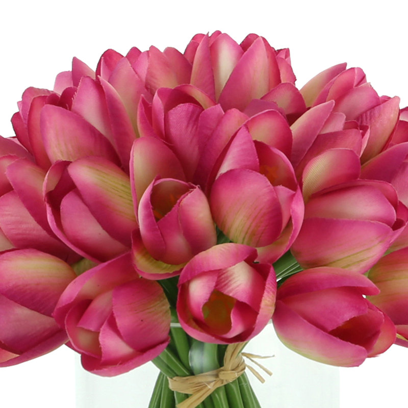White Tulips Arranged in Glass Vase, Pink