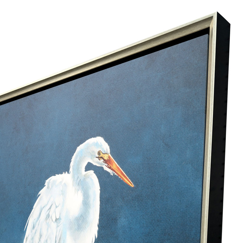 Aigrette dans des nénuphars