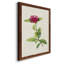 «Pretty Pink Botanicals II», reproduction d'art sur toile-1220564944-1220564973