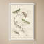Mariposas I par V. Larkspar - Impression sur toile-502667584-502667596