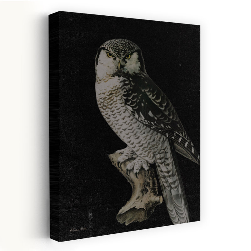 Moody Owl, H 60 po x l 40 po