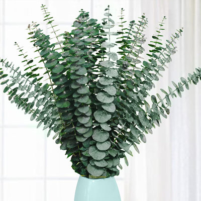 20 Pcs Dried Eucalyptus Stems, 17'' Natural Fresh Eucalyptus Leaves Branches Hanging for Shower, Preserved Real Plant Live Greenery for Home SPA Wall Bathroom Wedding Party Vase Decor