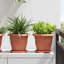  Plant Pots 24 Pcs Plastic-2132751927-2132751921