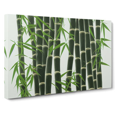 Interesting Bamboo Forest - Wrapped Canvas