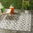 Courtyard Performance Chevron Indoor/Outdoor Area Rug-496710207