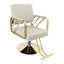 Tabouret de barbier beige 360 ° Fauteuil de coiffure à hauteur réglable pour salon de coiffure-432037742