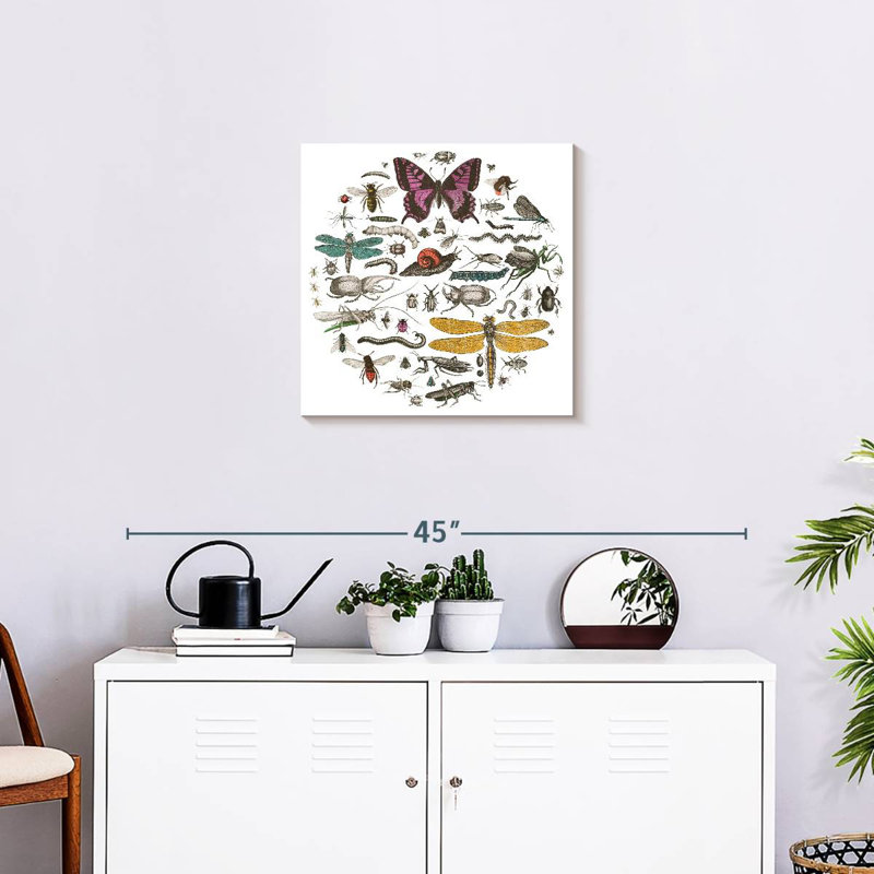 Brampt Insect Circle II Bright, 20" H x 20" W