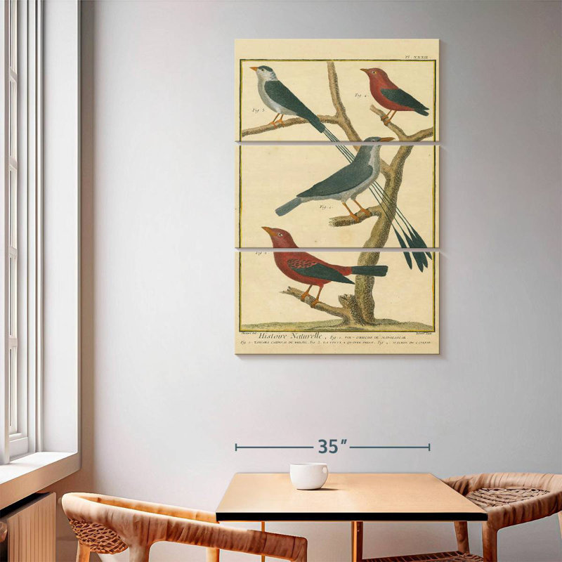 Brampt Bird Drawing I, 65" H x 42" W