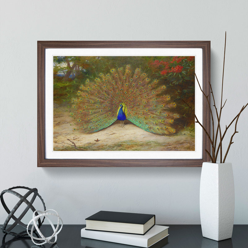 Peacock by Archibald Thorburn - Picture Frame Painting, 27cm H x 36cm W x 2cm D, Walnut Framed