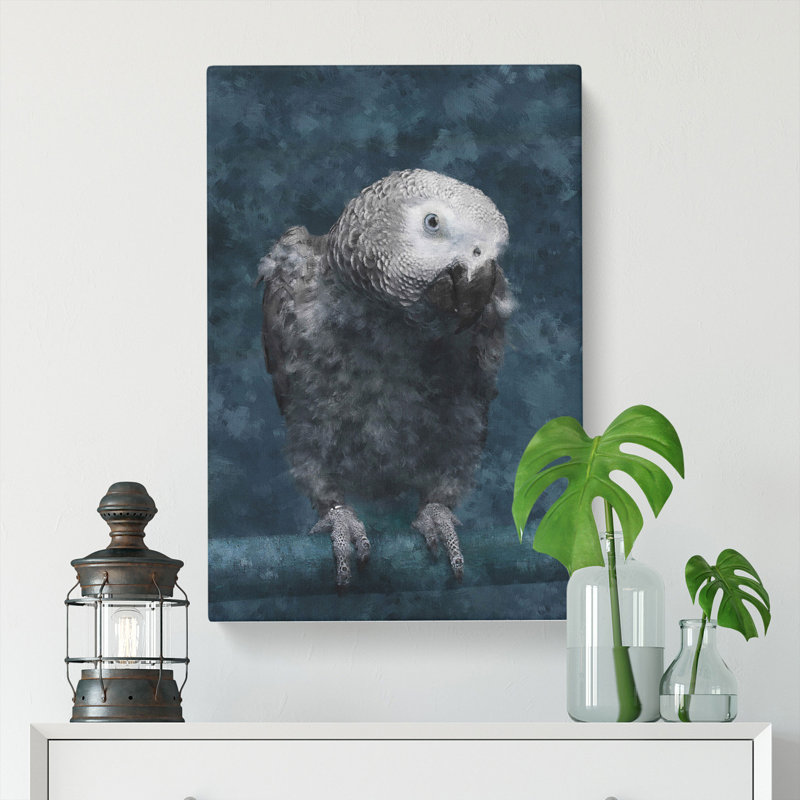 African Grey Parrot - Wrapped Canvas, 50cm H x 35cm W x 3cm D