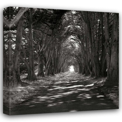 Millwood Pines Johnson, George Gallery Wrapped Canvas Art Titled: Point Reyes IV