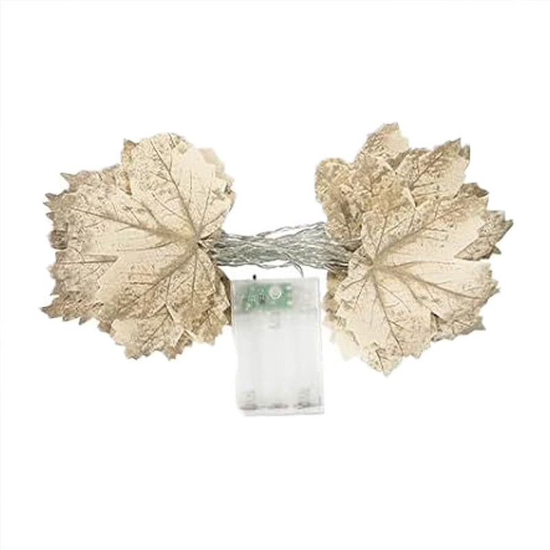 Fall Decorations, Beige