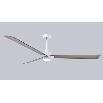 Alessandra Ceiling Fan