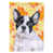 Bouledogue français blanc