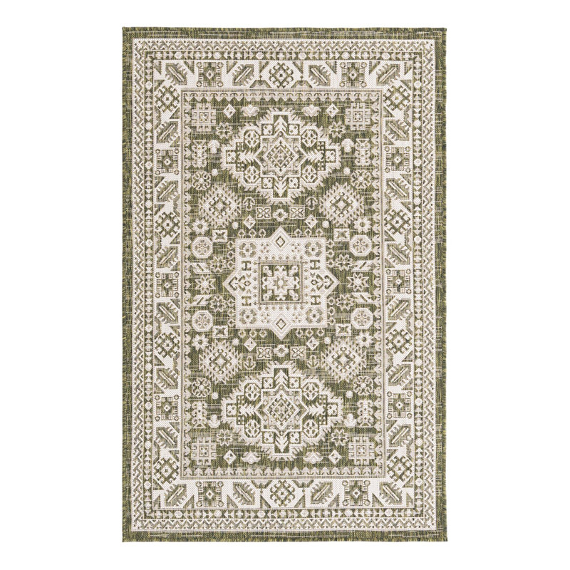 Tapis intérieur / extérieur brun Anarsja Southwestern, Rectangle 3 pi 3 po x 5 pi 3 po