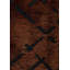 Rapture Abstract Area Rug in Orange-1496989503
