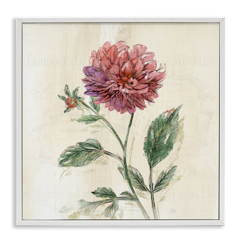 «Dahlia» rose traditionnel, estampe numérique, design par Nan, H 17 po x l 17 po