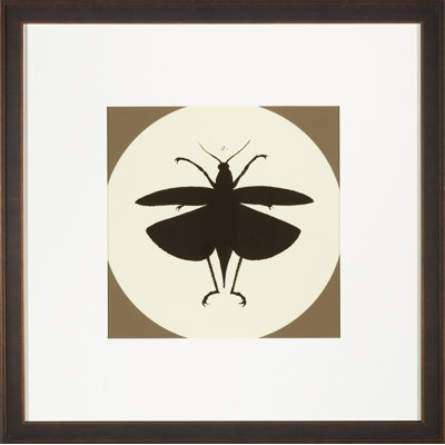 Insect Silhouette IV Print