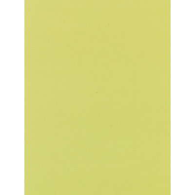 OLYMPIA SILK TAFFETA