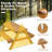 Callicoon Kids 2 Piece Solid Wood Outdoor Table Or Chair and Chair Set