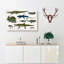 Various Reptiles XXVII by Oliver Goldsmith - Wrapped Canvas Painting-55370023