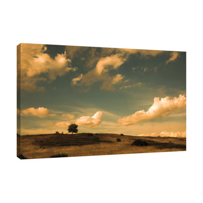 «What Beautiful Clouds», toile tendue par Aledanda