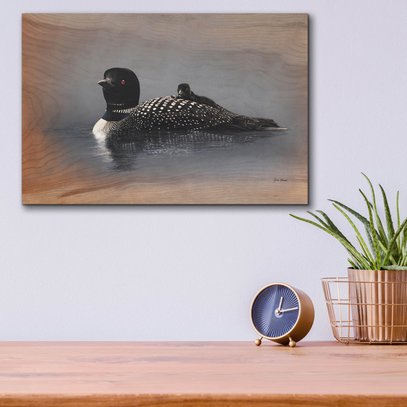 Art mural en verre épique «American Loon Family» par Jim Brune, 16 po x 12 po
