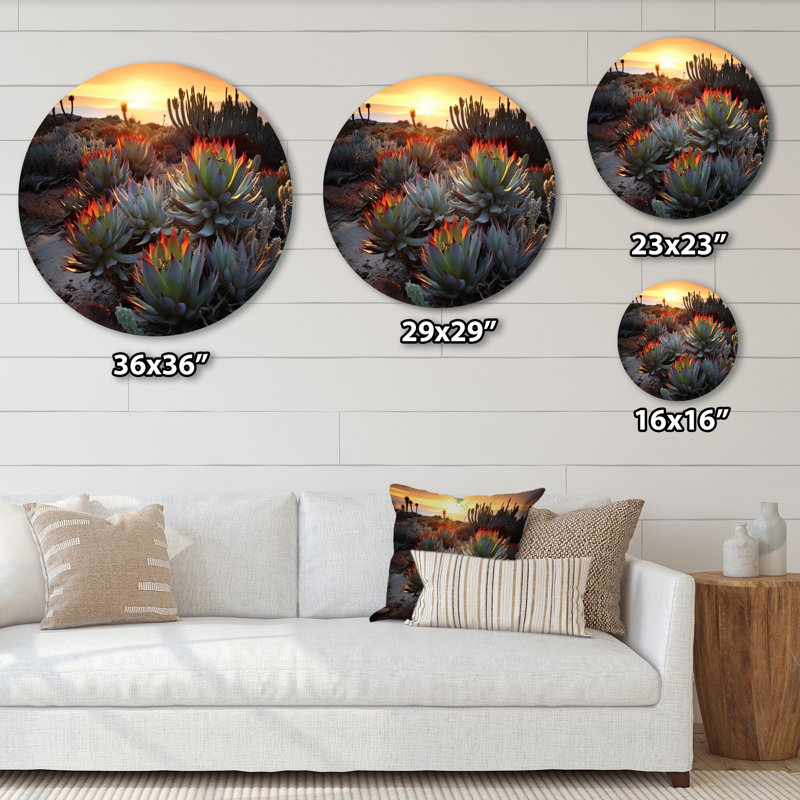 Succulent désert, cactus brûlant, coucher de soleil III - art floral rond en métal, H 23 po x l 23 po