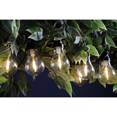 Monette 950 cm LED Indoor / Outdoor String Lights