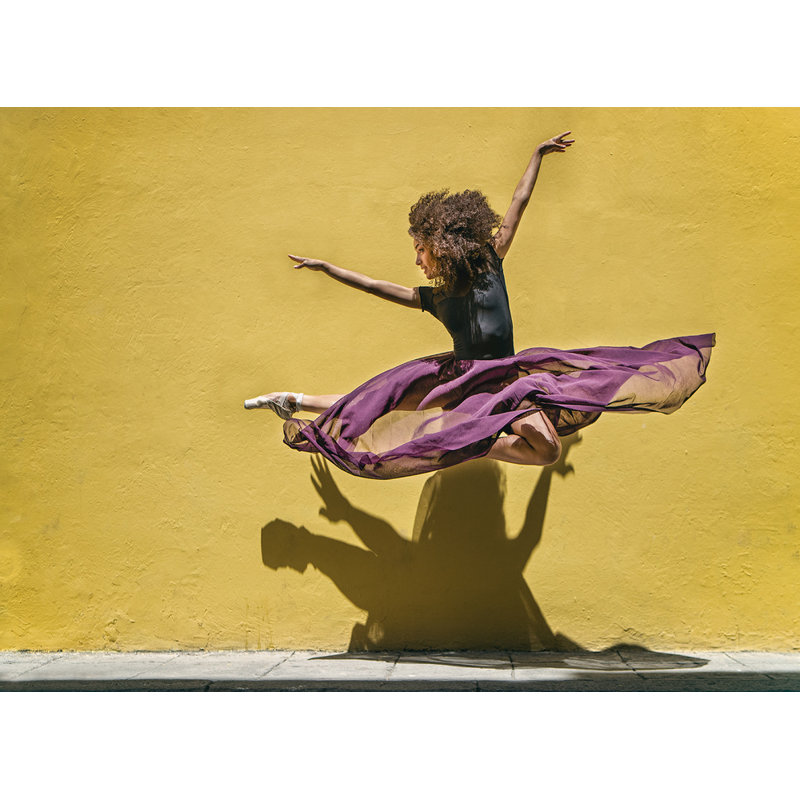 Wrapped Canvas Print, 50.8 cm H x 76.2 cm W