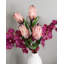 Protéa Pink Mink 29 po