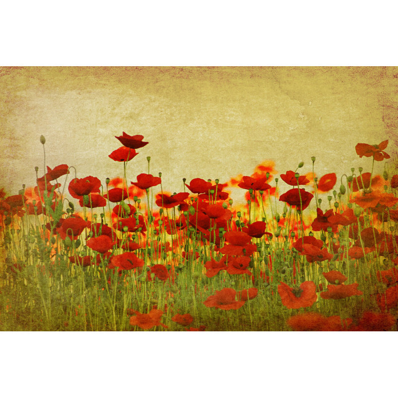 " Poppy Field ", 32" H x 48" W  