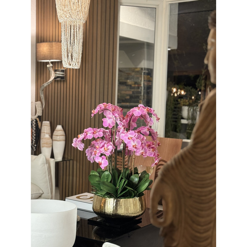 Roberi Orchid Arrangement in Planter, 38" H x 22" W x 22" D