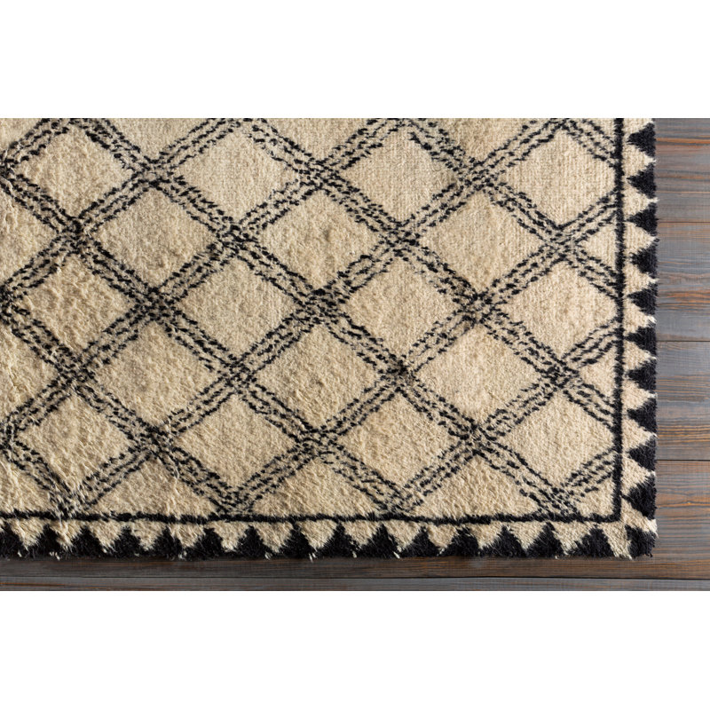 Jenet Wool Geometric Indoor Rug, Rectangle 2' x 3'