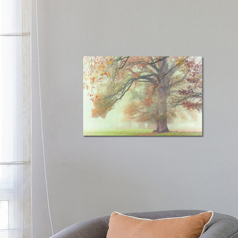 The Lonely Oak by Philippe Manguin - Wrapped Canvas Print, 66.04 cm H x 45.72 cm W x 1.91 cm D