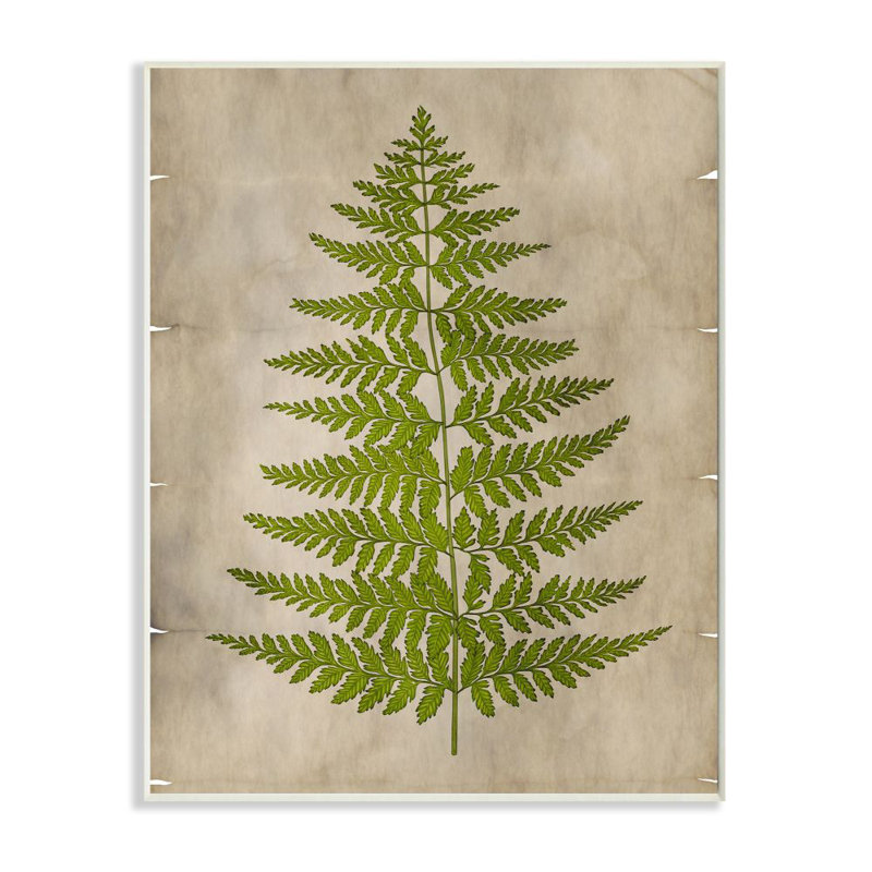 « plante green parchemin », impression, Plaque en bois, H 13 po x l 19 po x P 0,5 po
