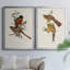 Toile encadrée de qualité supérieure Elegant Trogons I - prête à être accrochée-640088089-640088088