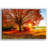 " Fall Forest "-735331773