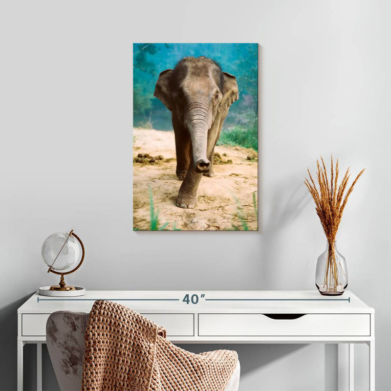 Brampt Curious Baby Elephant, 24" H x 16" W