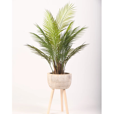 42 " H Faux Palm Tree in Solid Wood Planter