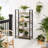 Riggle Bookcase-1021266425