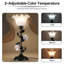 Ensemble de 2 lampes de table 17,72 "Vintage Floral