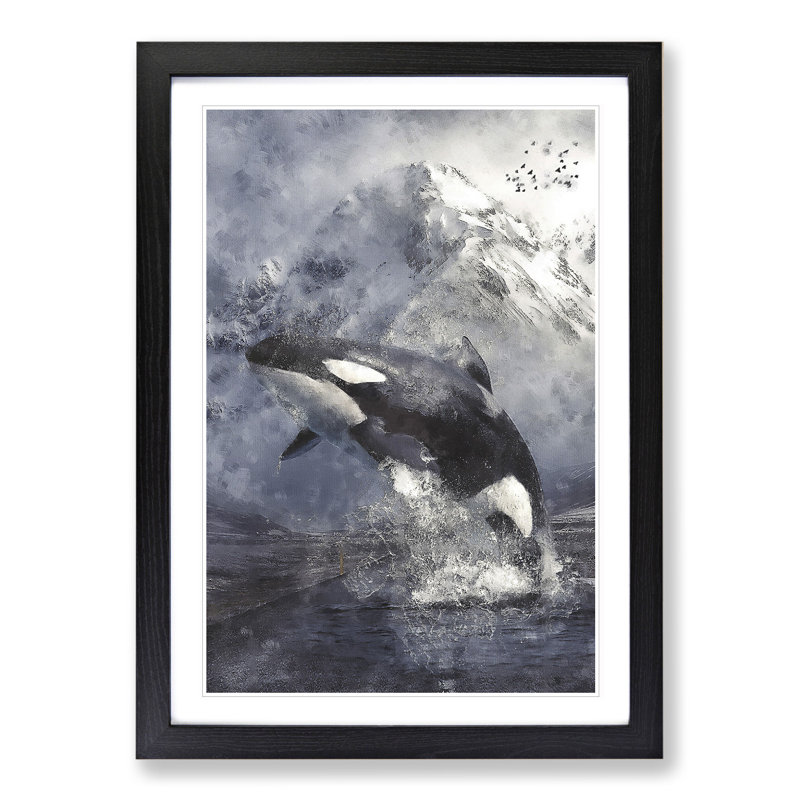 Killer Whale - Framed Print, Black Framed, 48cm H x 36cm W x 2cm D
